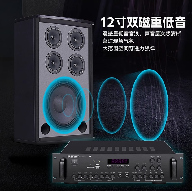 专业大中小型会议室音响套装培训多功能厅壁挂音箱